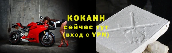 ПСИЛОЦИБИНОВЫЕ ГРИБЫ Верея