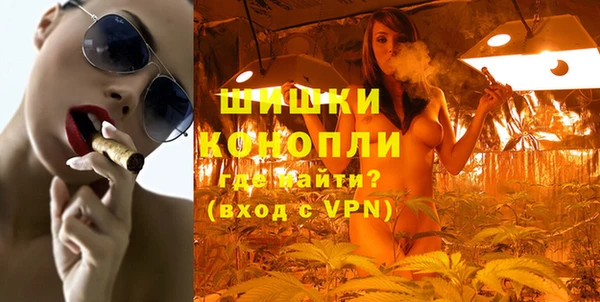 ПСИЛОЦИБИНОВЫЕ ГРИБЫ Верея