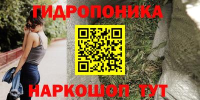 ПСИЛОЦИБИНОВЫЕ ГРИБЫ Нальчик