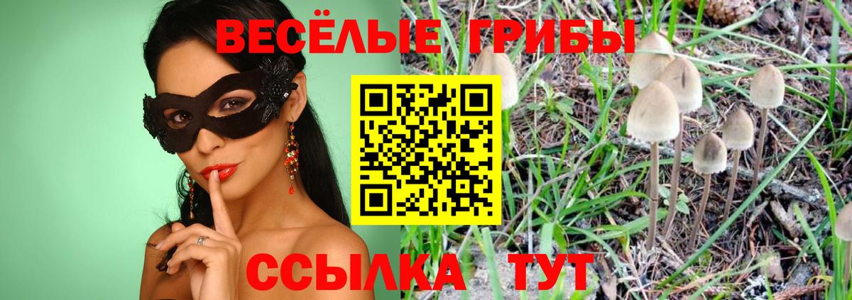 Псилоцибиновые грибы MAGIC MUSHROOMS  Вход с VPN  Рузаевка  Галлюциногенные грибы мицелий 
